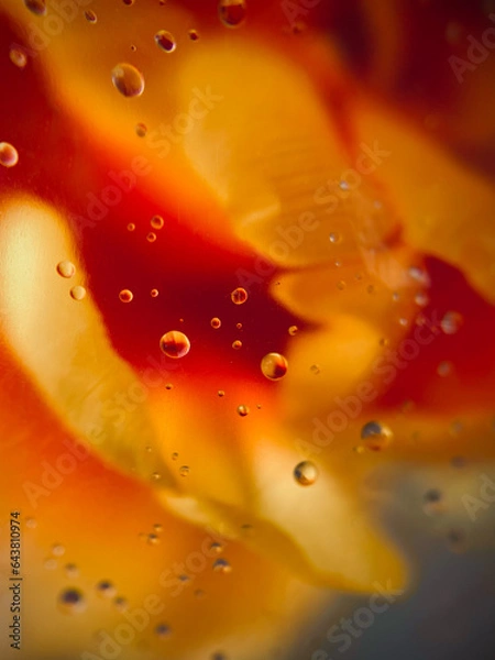 Fototapeta Beautiful drops of water on glass. Background flowers. Summer. Macro. Abstraction. High quality photo