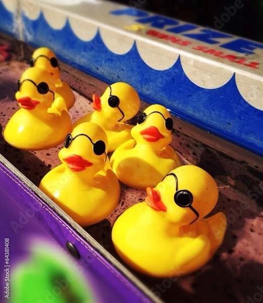 Obraz Carnival Game with Ducks