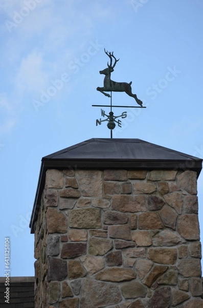 Obraz Reindeer weathervane 