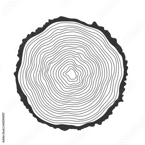 Obraz Wavy line ring pattern.Wood grain texture.Trees.Tree stumps pattern vector illustration.