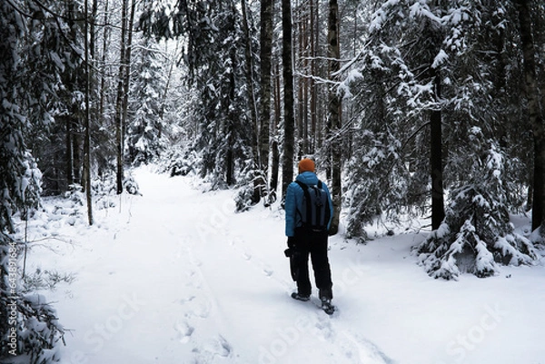 Fototapeta A man with a backpack travels in winter. A man in a snowy field. Hiking winter landscape.