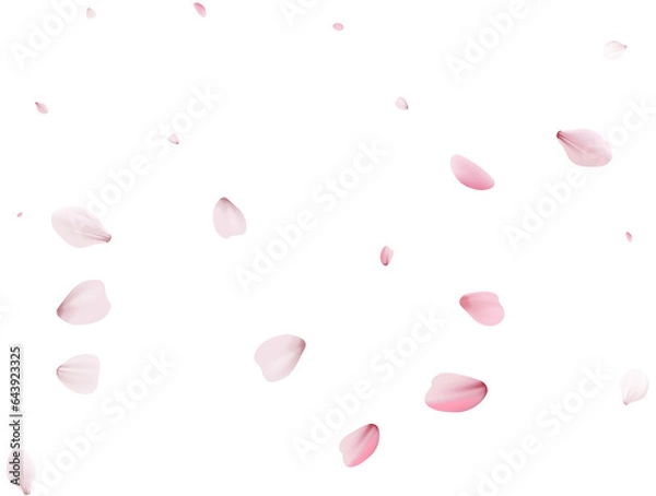 Fototapeta Romantic Sakura Background