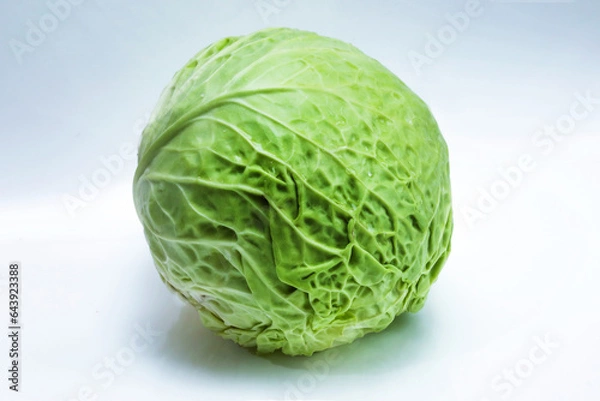 Obraz head of cabbage