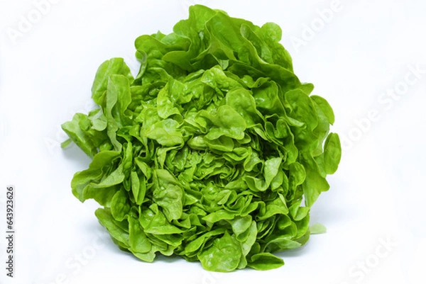 Fototapeta fresh lettuce