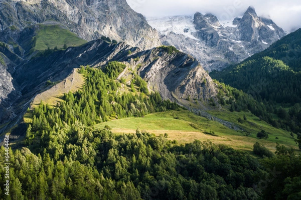 Obraz Almwiese im Bergmassiv