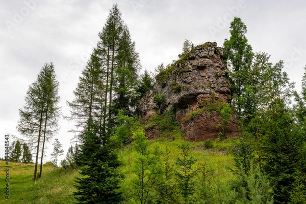 Fototapeta Nature reserve "Biala Woda" in Jaworki (Poland)