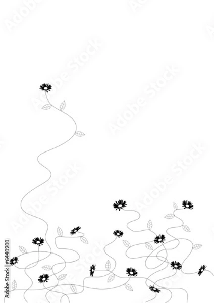 Fototapeta Small black flowers. Vector art