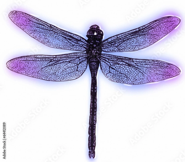 Fototapeta 스케치 드로잉