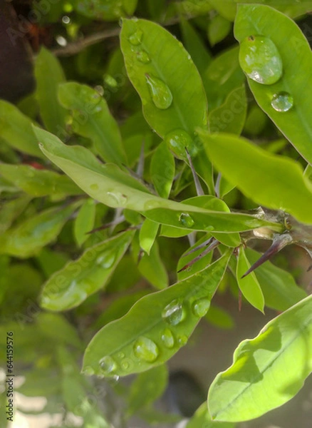 Obraz Sinais de chuva 