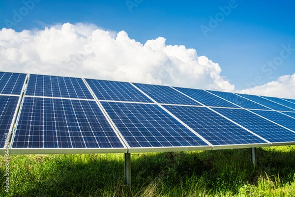 Obraz Solarpanels auf Feld