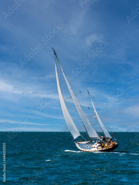 Obraz Sailboats under sail off Cape Cod
