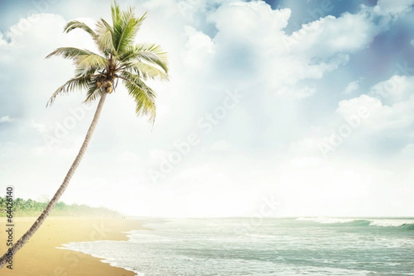 Fototapeta beach-018