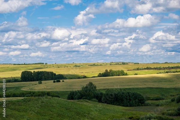 Obraz Green grass field on small hills and blue sky with clouds. Agricultural field with sky and clouds. The rural nature of farms. Straw in the meadow. Rural natural landscape. The grain harvest