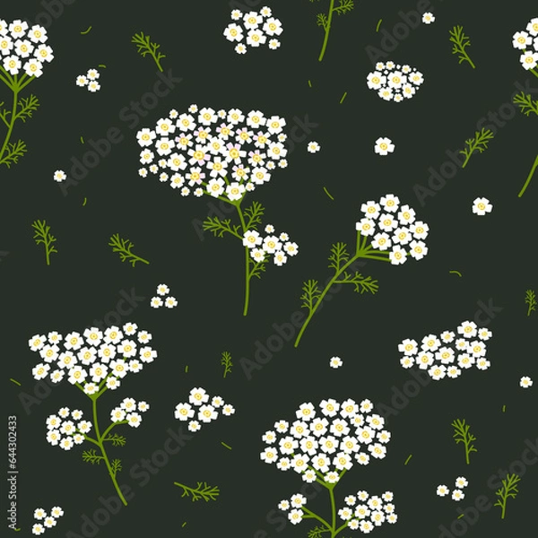 Fototapeta Vector seamless floral pattern. Wild flowers yarrow. Flowers on a dark background.