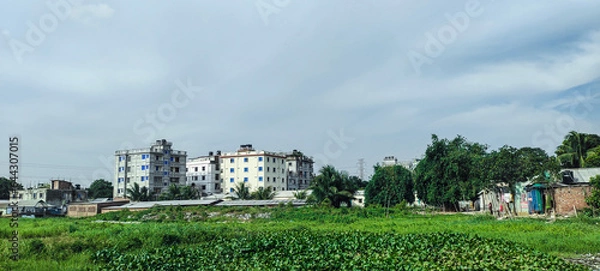 Fototapeta landscape with trees and clouds sky city 