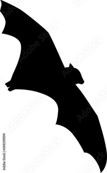 Obraz bat silhouette