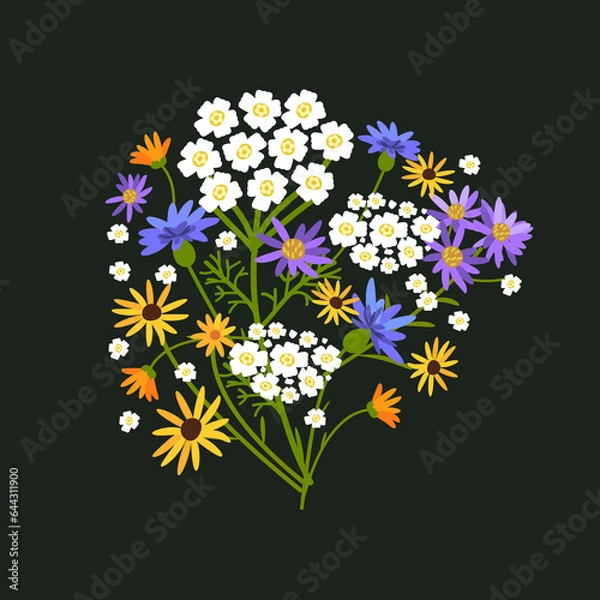 Fototapeta Bouquet of wild flowers on a dark background. Vector illustration