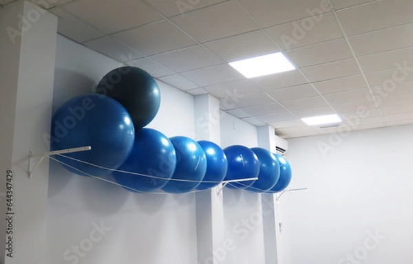 Obraz Physiotherapy equipment