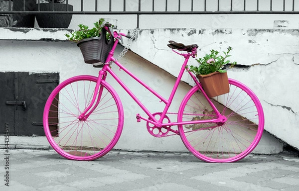 Obraz Różowy rower