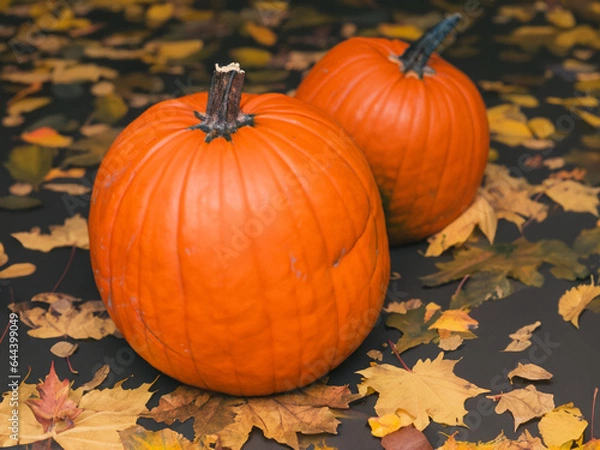 Obraz pumpkin and leaves