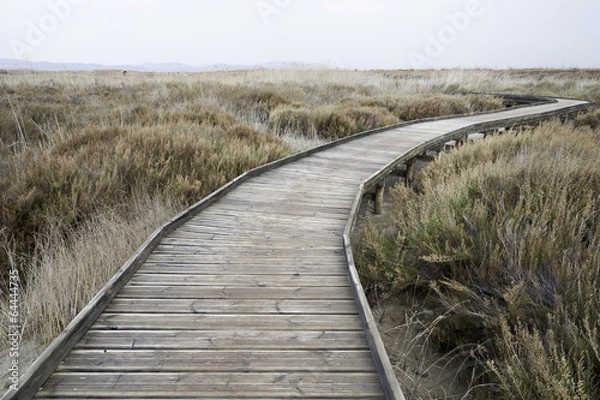 Fototapeta wooden path