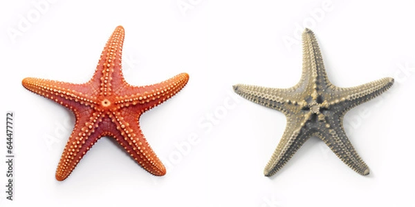 Fototapeta A single starfish placed prominently on a blank white surface, conjuring the essence of the ocean