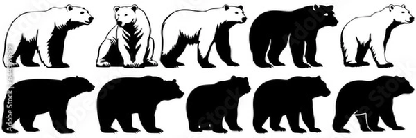 Fototapeta Polar bear silhouettes set, large pack of vector silhouette design, isolated white background