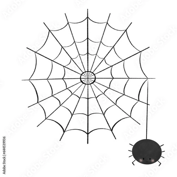 Obraz spider web