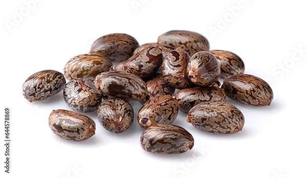 Fototapeta Castor seeds on white background