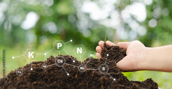 Fototapeta Testing fertile soil outdoors in close-up and with needed for planting. future agriculture Smart farming using modern agricultural technology to check soil quality control before planting seeds.