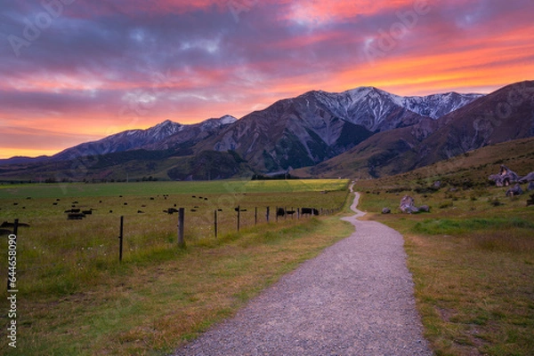 Fototapeta mountain road beside a grassy field at sunrise with snow capped mountains in the background
