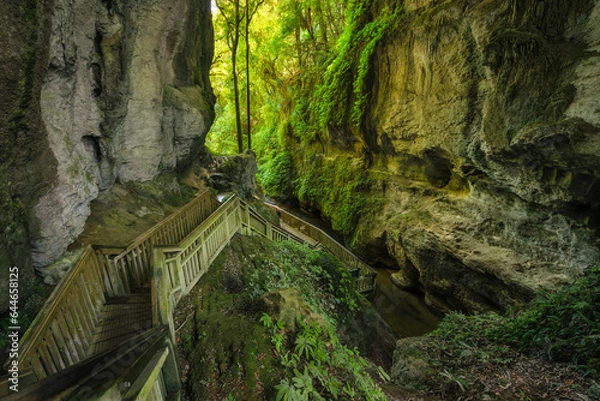 Fototapeta old cave in the forest with timber boardwalk
