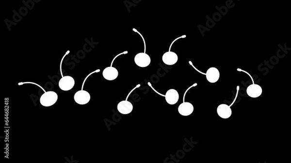 Fototapeta Silhouette of cherry berries on a black background. Silhouette of cherry berries for the logo and design.