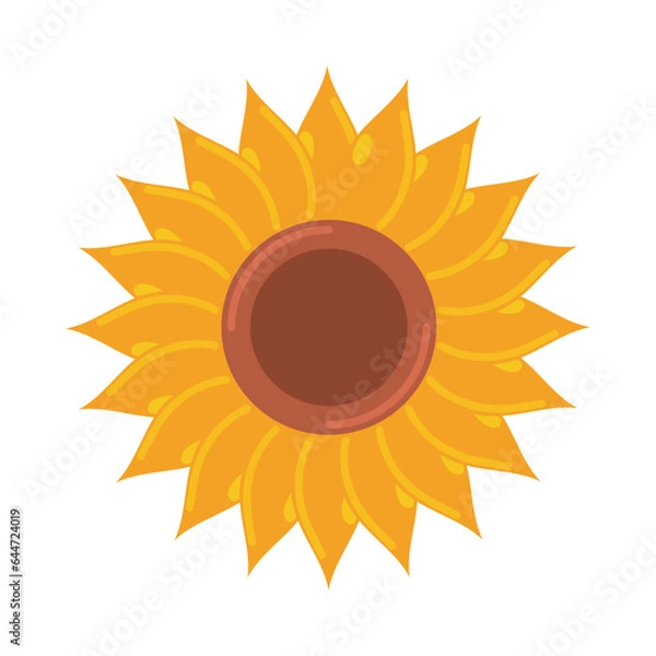 Fototapeta sunflower nature icon