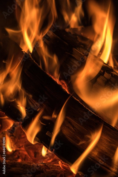 Obraz fire in a fireplace