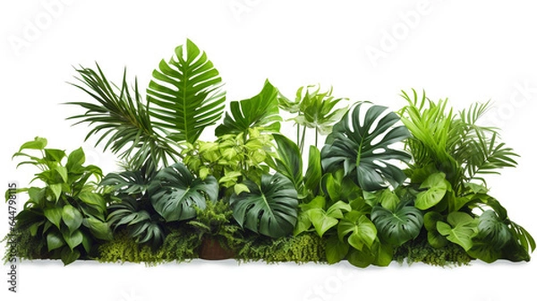 Fototapeta tropical plants on white close-up. Generative Ai