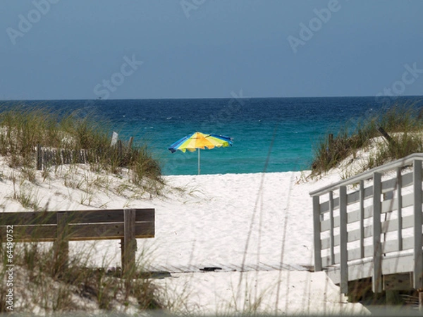 Obraz Beach Grass-14