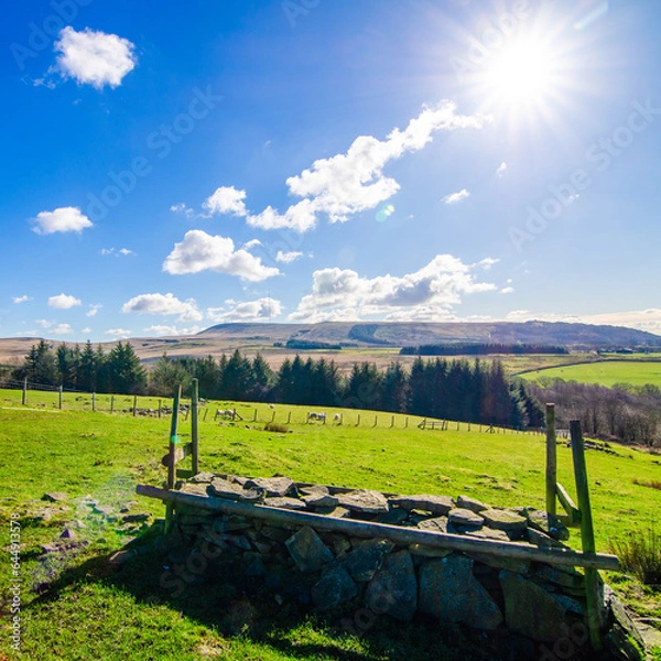 Fototapeta Winter Hill and Rivington Pike from Anglezarke in Springtime