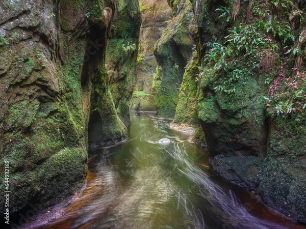 Obraz Devil's Pulpit, Scotland. Finnich Glen. Beautiful gorge with mossy rocks and a flowing stream.
