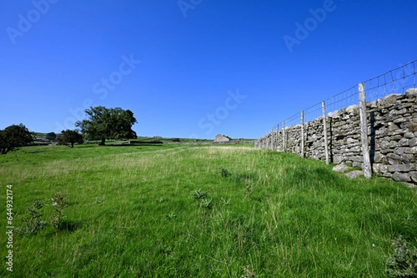 Fototapeta landscape with dry stone wall