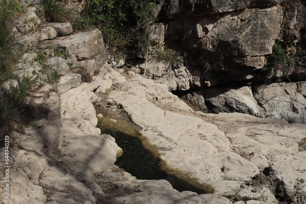 Obraz Sequía, río sin agua