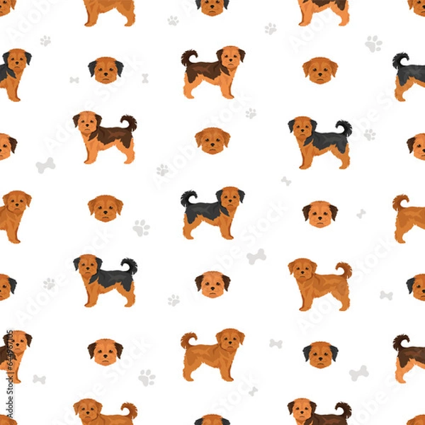 Fototapeta Shorkie seamless pattern. Shih-Tzu  Yorkshire terrier mix. Different coat colors set