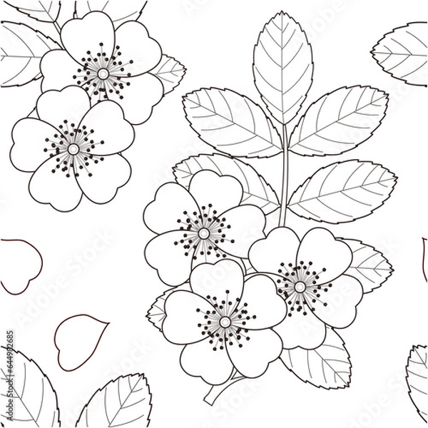 Fototapeta Seamless pattern of wild roses