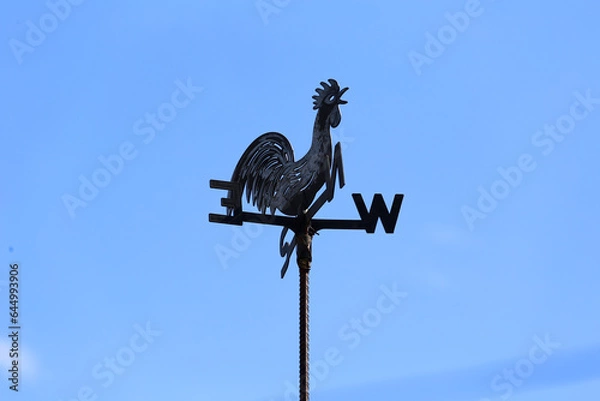 Fototapeta rooster on the roof