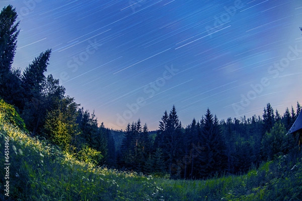 Obraz Star trails