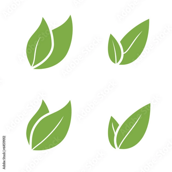 Fototapeta Leaf Pair Icon Vector Illustrations on Both Solid