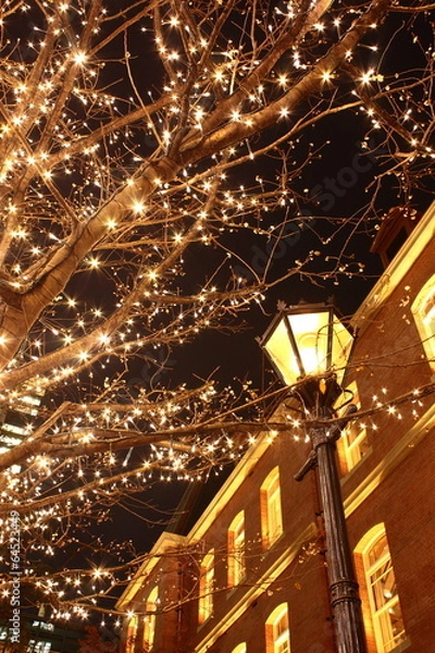 Obraz 三菱一号館　夜景　イルミネーション