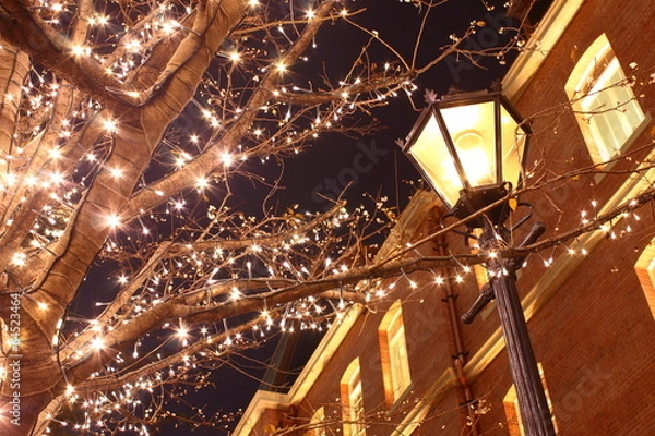 Obraz 三菱一号館