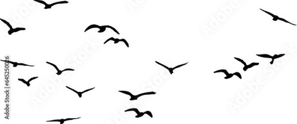 Obraz birds in flight