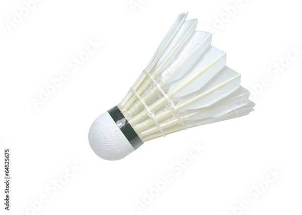 Obraz The shuttlecock isolated